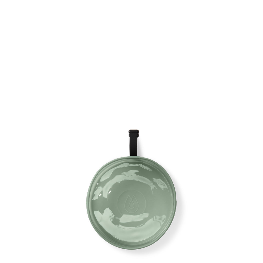 Rover Dog Bowl