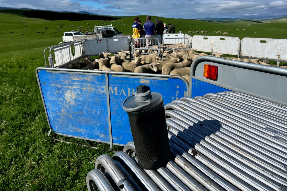Staying Fueled for a Hard Day’s Work: Hydration on the Farm