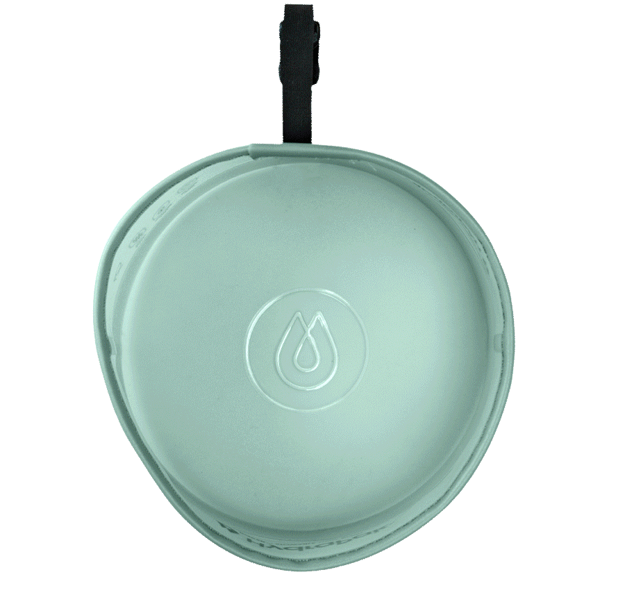 Rover Dog Bowl