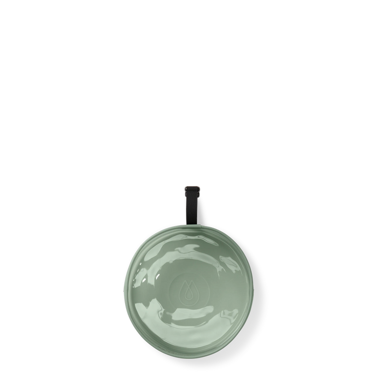 Rover Dog Bowl